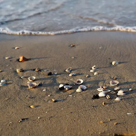 Апартаменты Seaside With Poolside Retreat *