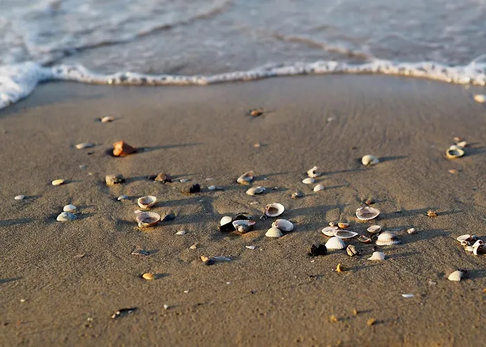 Daire Seaside With Poolside Retreat *